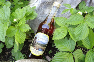 Krakonošova Bylinná 500ml