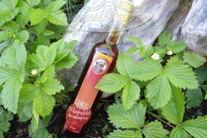 Krkonošská medovina 500ml - višeň
