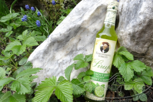 sirup citrusový s příchutí limetky a máty