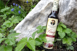 Sirup višeň