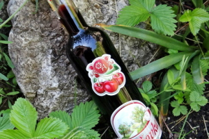 Višňovka 500ml