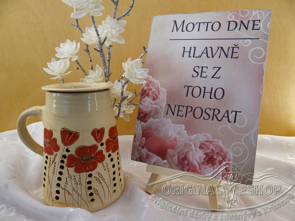 Motto dne - hlavně se z toho...